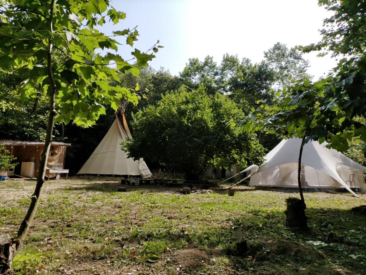 Albergue Del Oso Tierraluz Arbúcies Exteriör bild