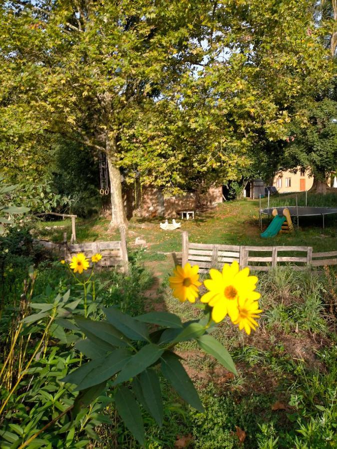 Albergue Del Oso Tierraluz Arbúcies Exteriör bild